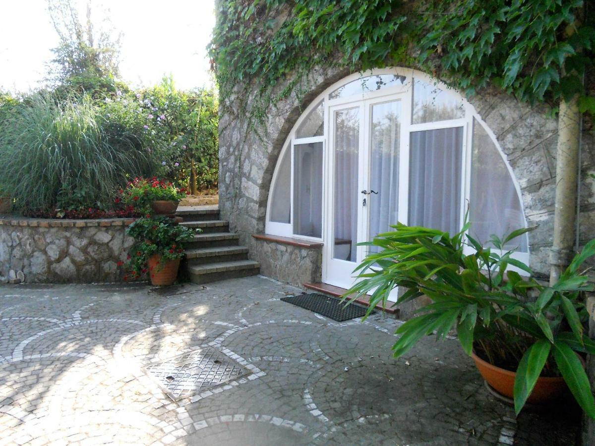 Villa Le Olivine 索伦托 外观 照片