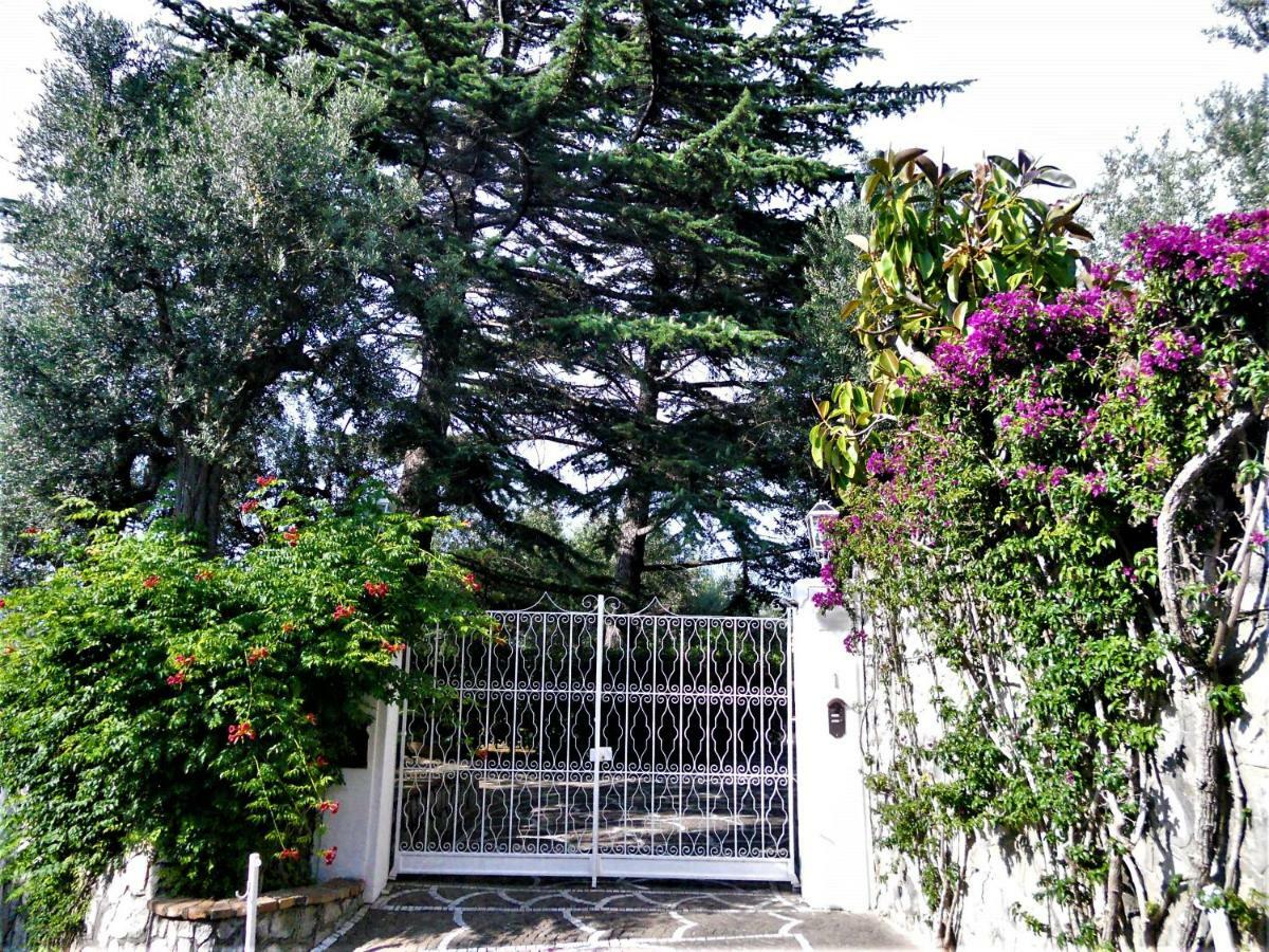 Villa Le Olivine 索伦托 外观 照片