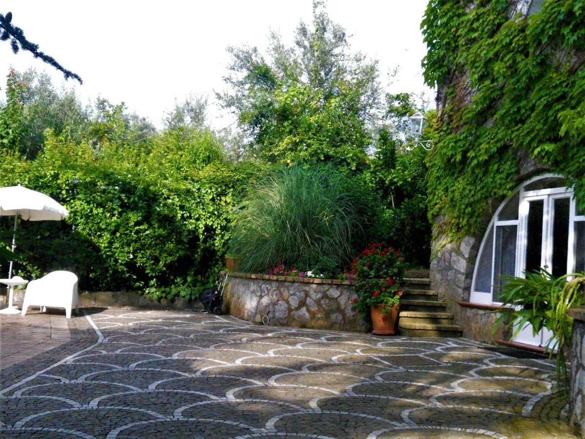 Villa Le Olivine 索伦托 外观 照片