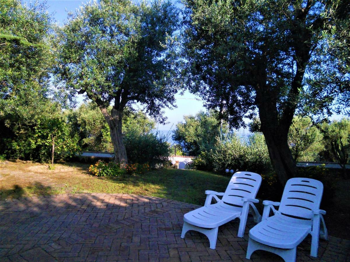 Villa Le Olivine 索伦托 外观 照片