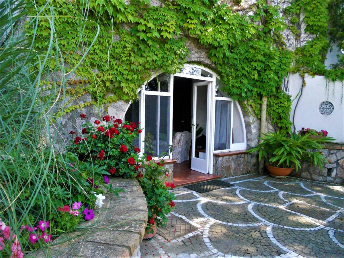 Villa Le Olivine 索伦托 外观 照片